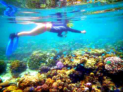 mactan cebu city diving